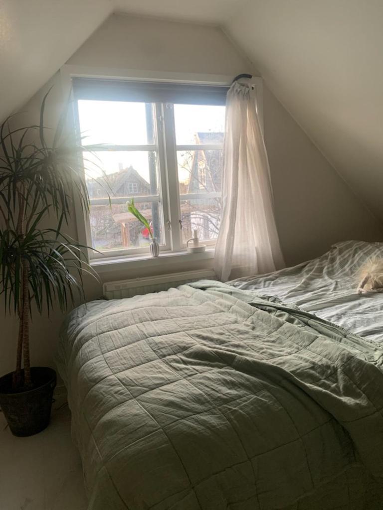 Vila Millans Dockhus Onslunda Exteriér fotografie