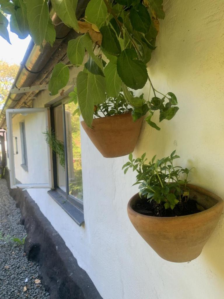 Vila Millans Dockhus Onslunda Exteriér fotografie
