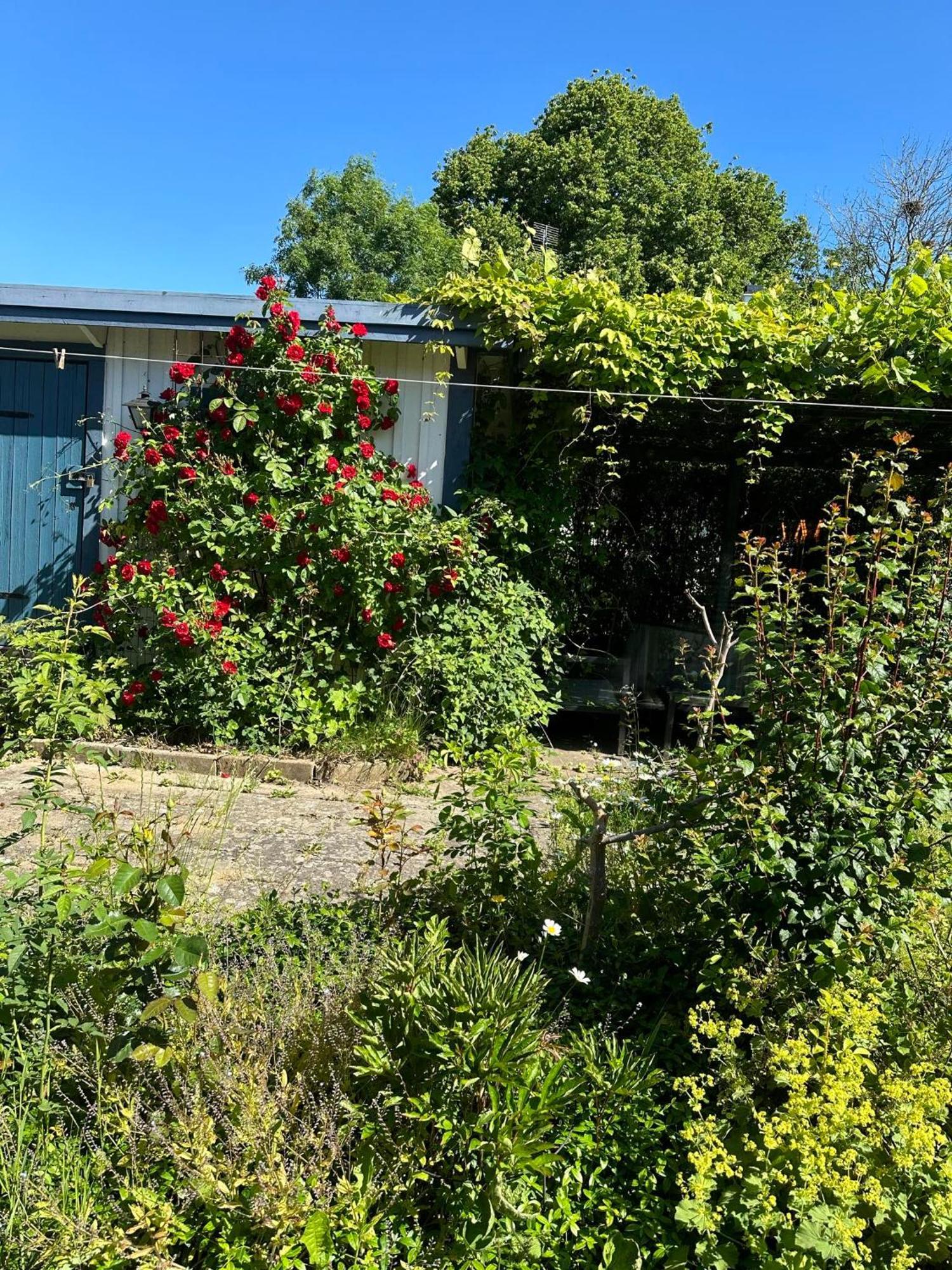 Vila Millans Dockhus Onslunda Exteriér fotografie